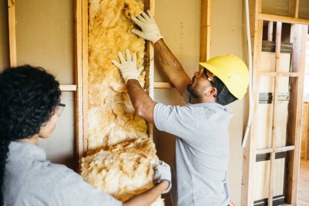 Best Attic Insulation Installation  in Roxboro, NC